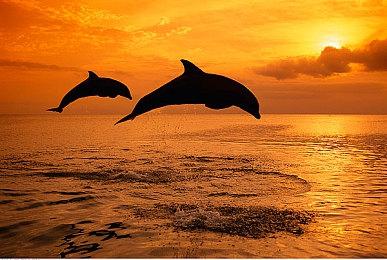 PS+欧美服四月会免游戏 《绿林侠盗：亡命之徒与传奇》等